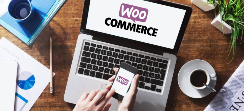 WooCommerce Payment-Plugin