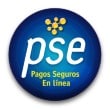 Pagos Seguros en Línea